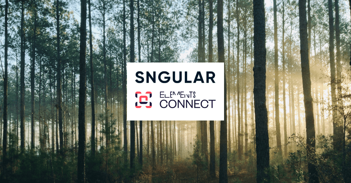 Collaboration between Sngular and Elements Connect